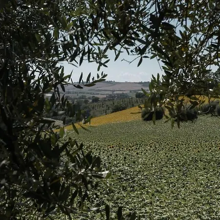 Casa Rosa 別荘 Petriolo